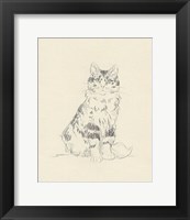House Cat III Fine Art Print