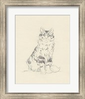 House Cat III Fine Art Print