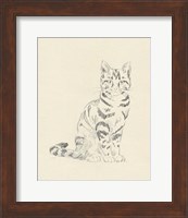 House Cat IV Fine Art Print