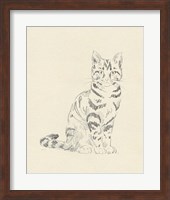 House Cat IV Fine Art Print