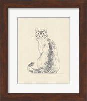 House Cat V Fine Art Print