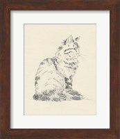 House Cat VI Fine Art Print