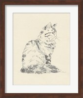 House Cat VI Fine Art Print