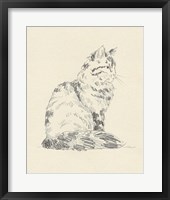 House Cat VI Framed Print