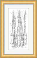 Birch Tree Sketch I Fine Art Print