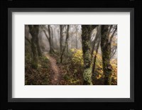 Fog Ahead Fine Art Print