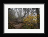 Stone Steps Fine Art Print