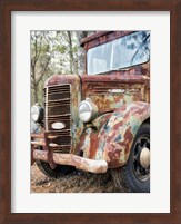 Special Delivery Fine Art Print