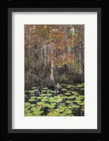 Black Water I Fine Art Print
