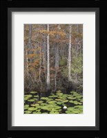 Black Water II Fine Art Print