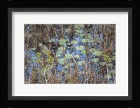 The Marsh Fine Art Print