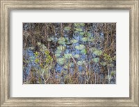 The Marsh Fine Art Print