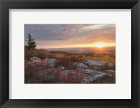 Good Morning Fine Art Print