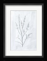 Milkweeds I Framed Print