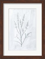 Milkweeds I Fine Art Print