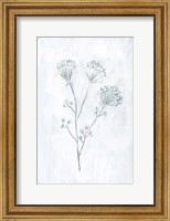 Milkweeds II Fine Art Print