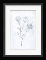 Milkweeds II Framed Print