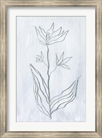 Milkweeds III Fine Art Print