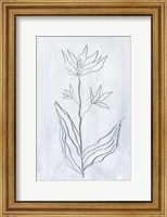 Milkweeds III Fine Art Print