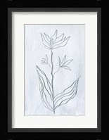 Milkweeds III Framed Print