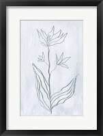 Milkweeds III Framed Print