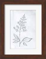 Milkweeds IV Fine Art Print