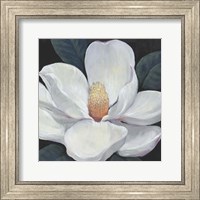 Blooming Magnolia I Fine Art Print