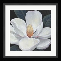 Blooming Magnolia I Framed Print