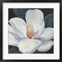 Blooming Magnolia I Fine Art Print