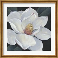 Blooming Magnolia II Fine Art Print