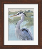 Blue Heron Portrait I Fine Art Print