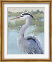 Blue Heron Portrait I Fine Art Print