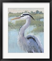 Blue Heron Portrait I Framed Print