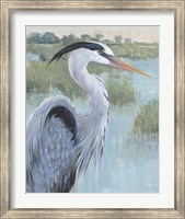 Blue Heron Portrait II Fine Art Print