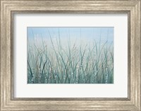 Tall Grass I Fine Art Print