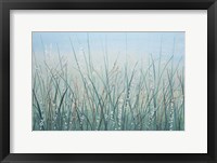 Tall Grass I Framed Print