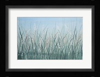 Tall Grass II Framed Print