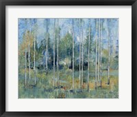Woodland View II Framed Print