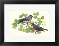 Song Birds I Fine Art Print