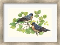 Song Birds I Fine Art Print