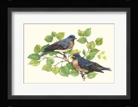 Song Birds I Framed Print