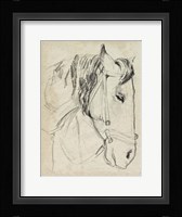 Horse in Bridle Sketch I Fine Art Print