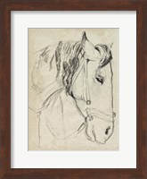 Horse in Bridle Sketch I Fine Art Print