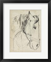 Horse in Bridle Sketch I Framed Print