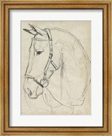 Horse in Bridle Sketch II Fine Art Print