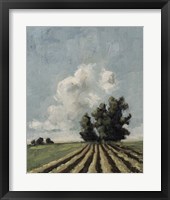 Copse of Trees Fine Art Print