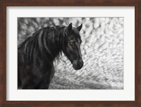 Equine Portrait III Fine Art Print