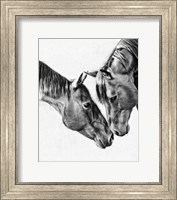Equine Portrait VI Fine Art Print