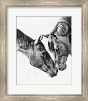 Equine Portrait VI Fine Art Print