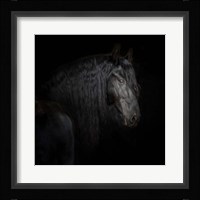 Equine Portrait X Framed Print